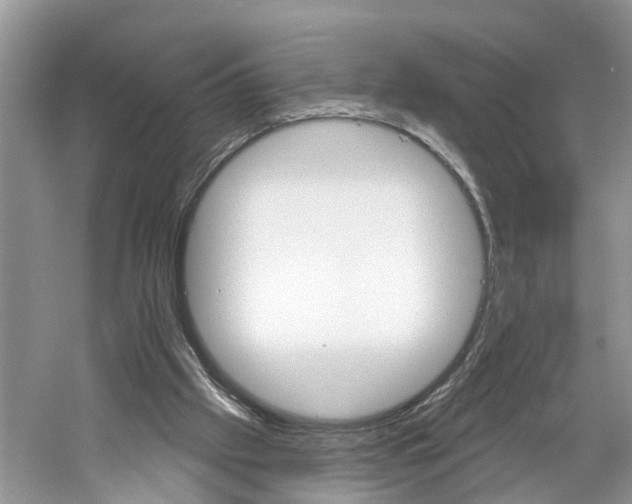 X0000061150057200511181043