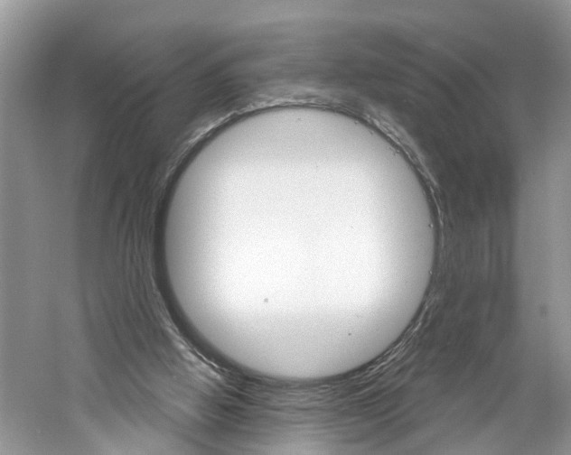 X0000061150058200511181043