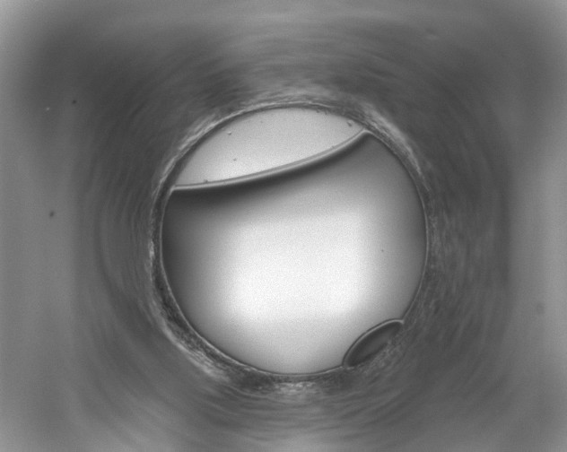 X0000061150059200511181043