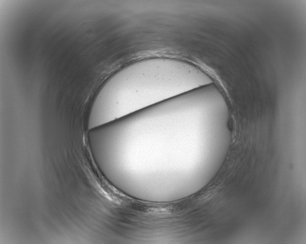 X0000061150061200511181043