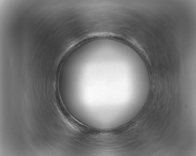 X0000061150063200511181043