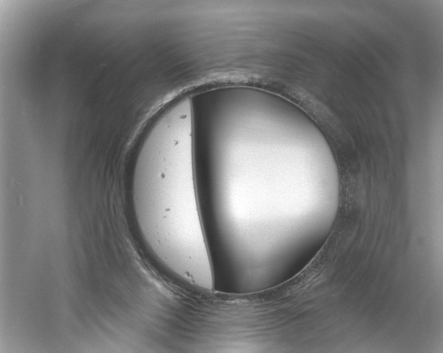 X0000061150064200511181043