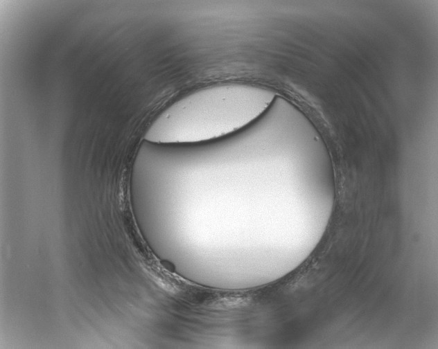 X0000061150065200511181043