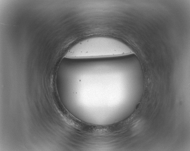 X0000061150066200511181043