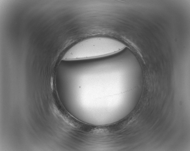 X0000061150067200511181044