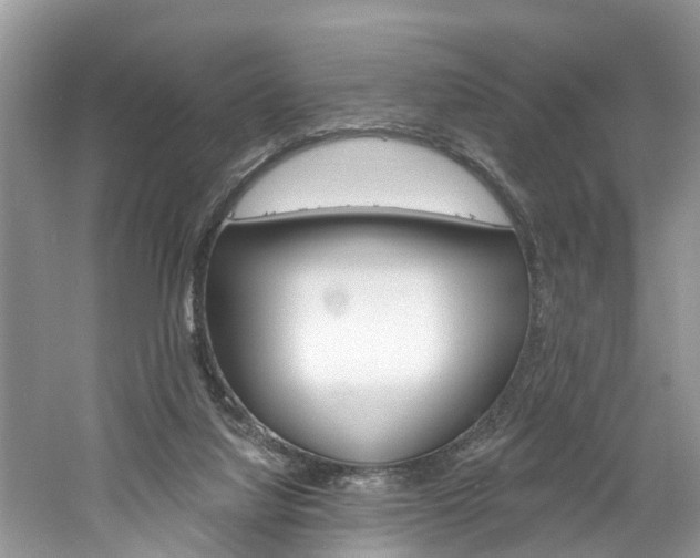 X0000061150068200511181044