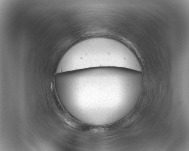 X0000061150069200511181044