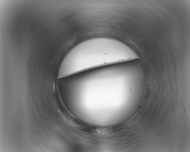 X0000061150070200511181044