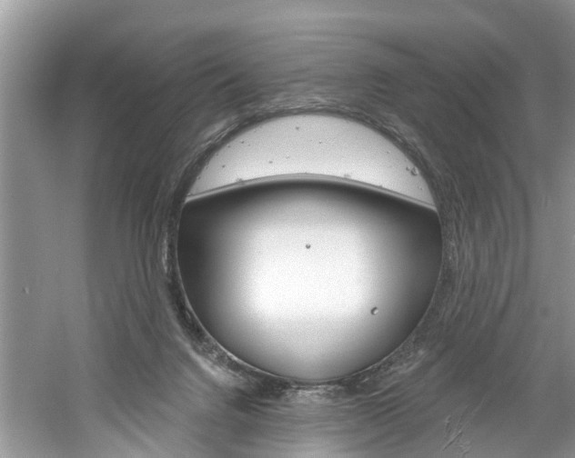 X0000061150072200511181044