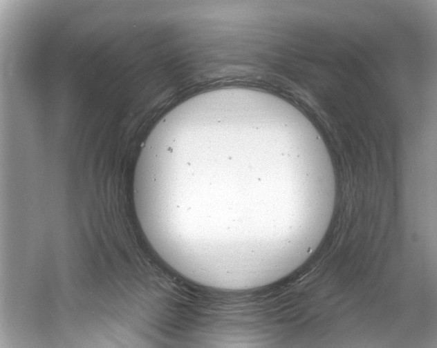 X0000061150073200511181044