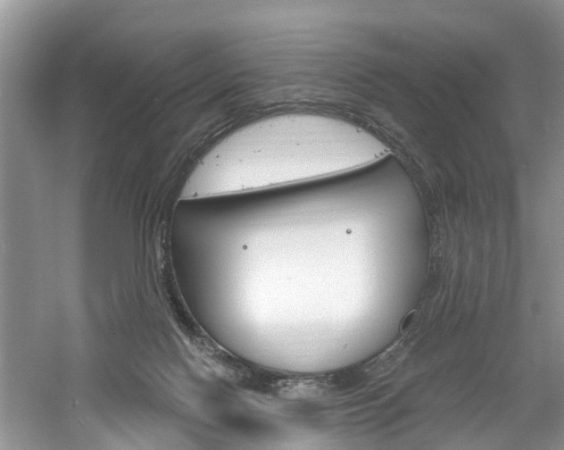 X0000061150074200511181044