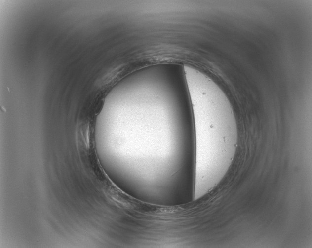 X0000061150076200511181044