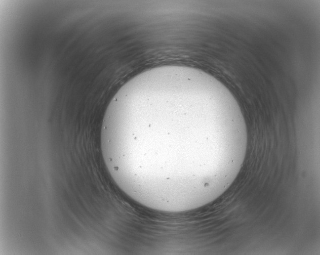 X0000061150079200511181044