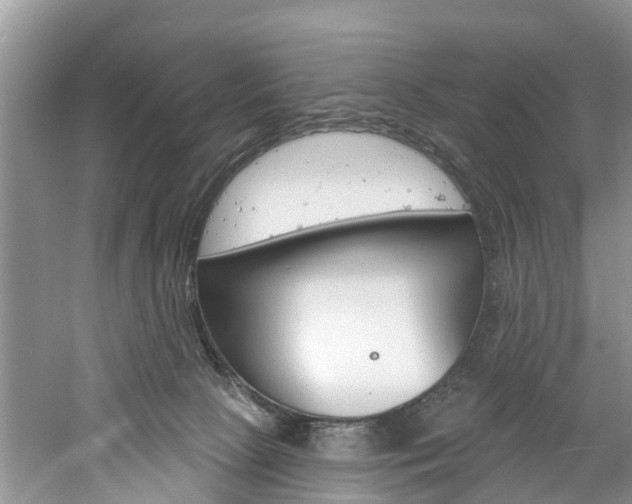 X0000061150081200511181044