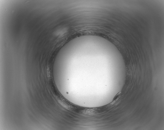 X0000061150086200511181044