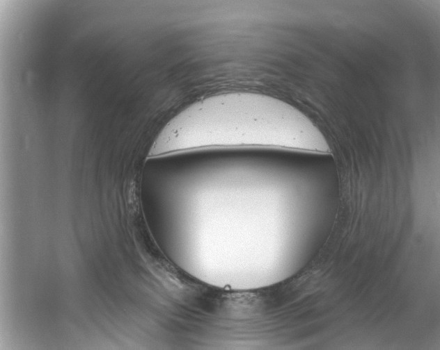 X0000061150087200511181044