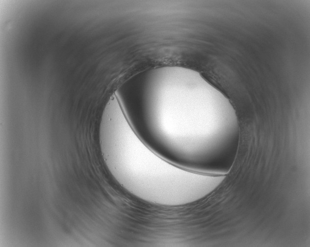 X0000061150088200511181044