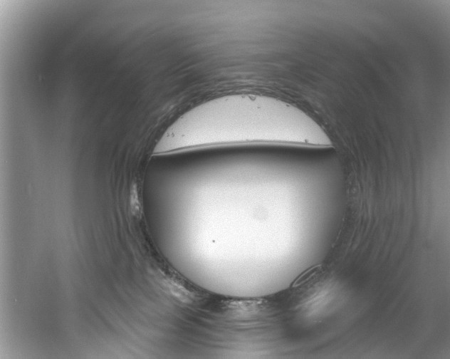 X0000061150089200511181044