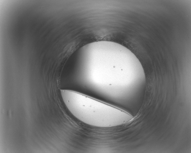 X0000061150090200511181044