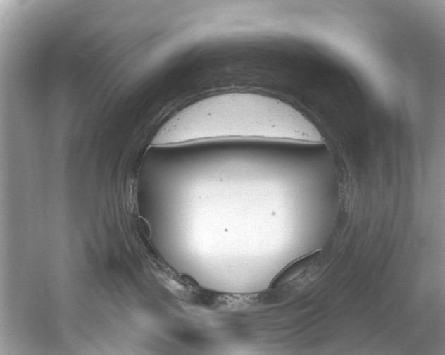 X0000061150093200511181044