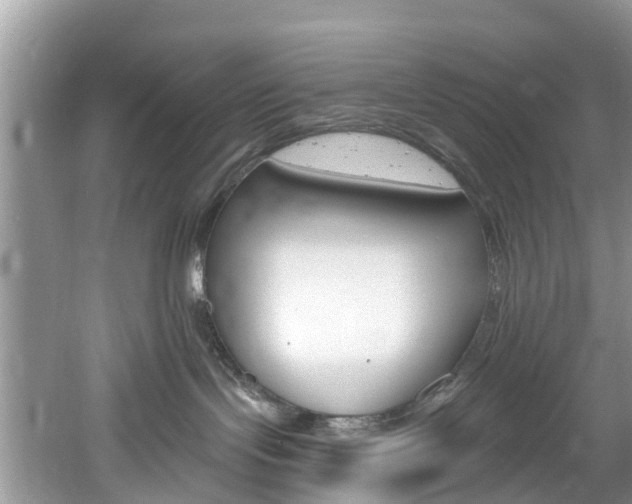 X0000061150095200511181044