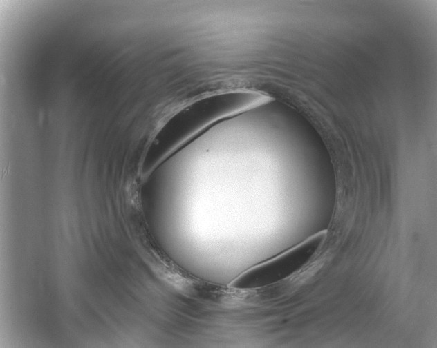 X0000061150096200511181044