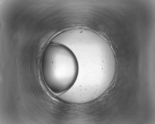 X0000061150097200511181043