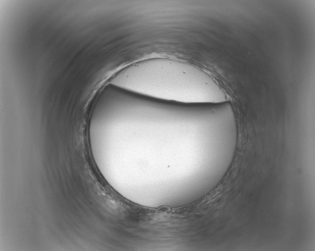 X0000061150098200511181043