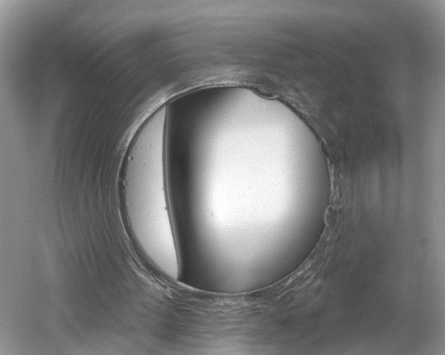 X0000061150099200511181043