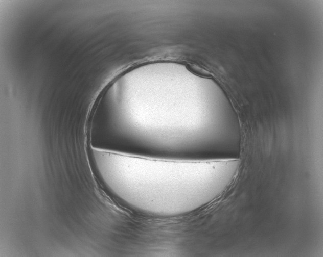 X0000061150100200511181043