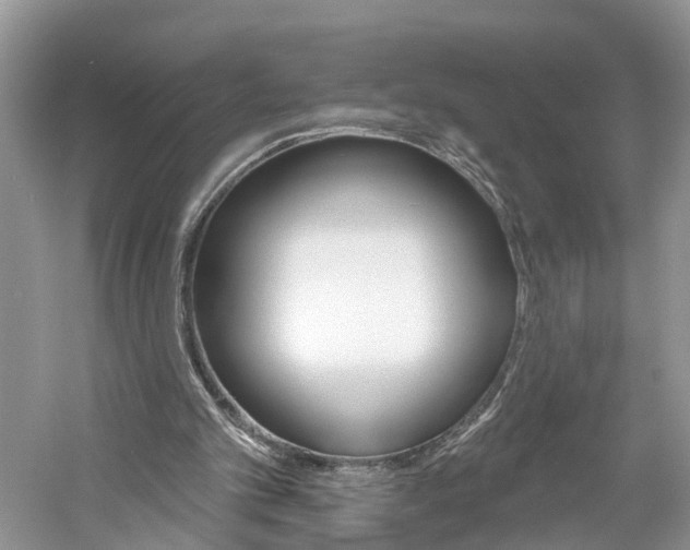 X0000061150101200511181043