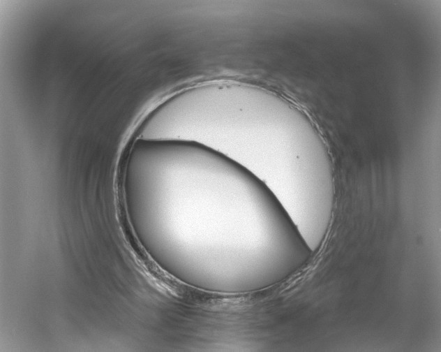 X0000061150102200511181043