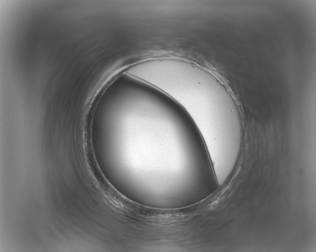 X0000061150103200511181043