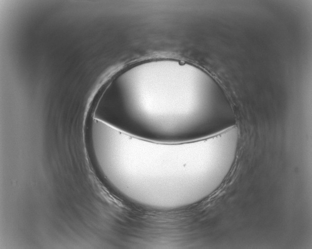 X0000061150104200511181043