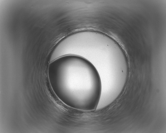 X0000061150105200511181043