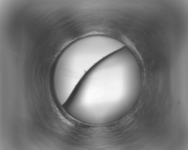 X0000061150106200511181043