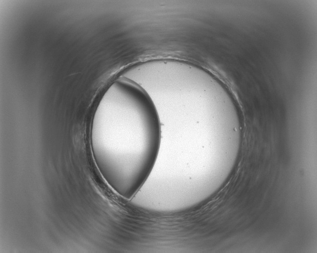 X0000061150107200511181043