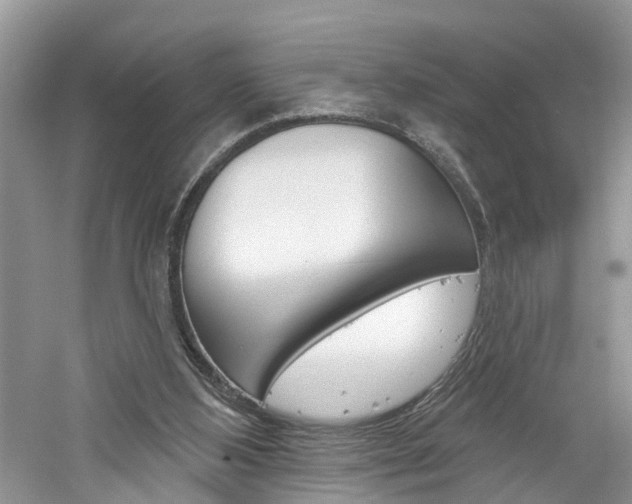 X0000061150108200511181043