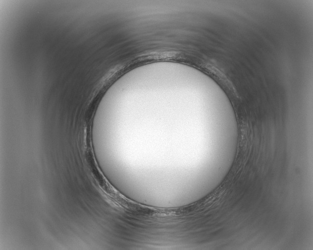 X0000061150110200511181043