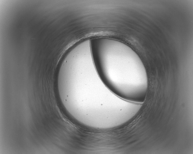 X0000061150111200511181043