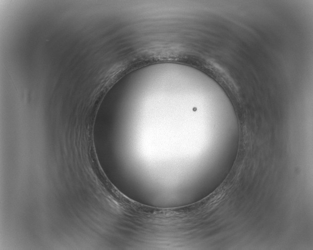 X0000061150113200511181043