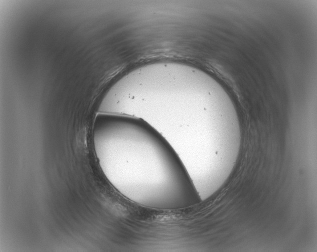 X0000061150115200511181043