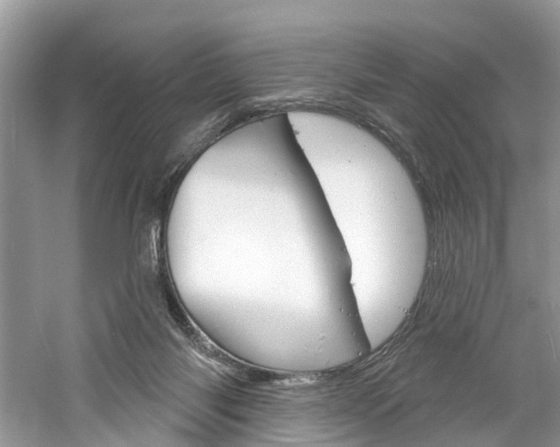 X0000061150118200511181043