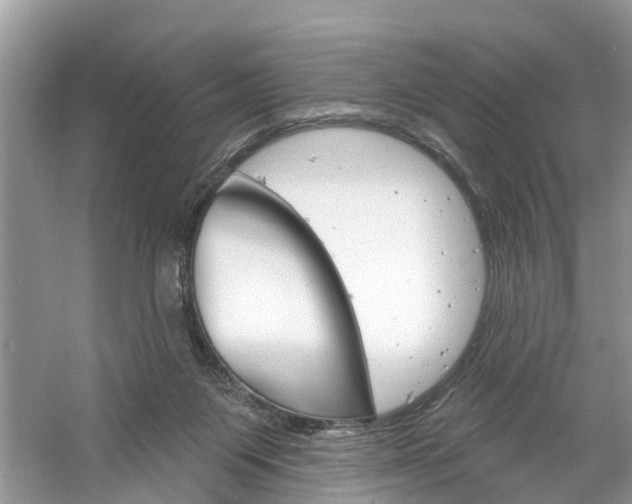 X0000061150119200511181043