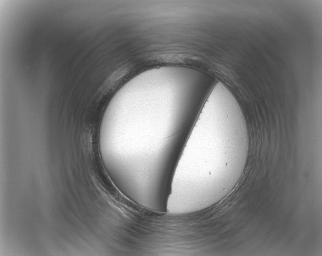 X0000061150120200511181043