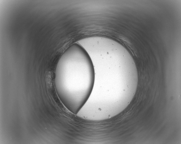 X0000061150121200511181043