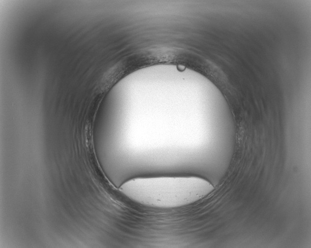 X0000061150122200511181043