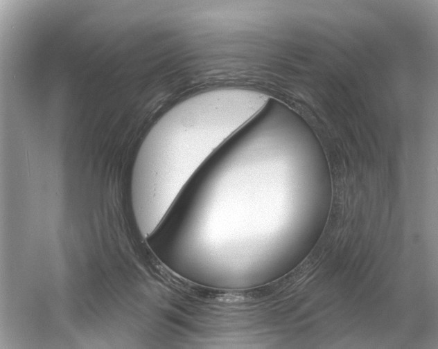 X0000061150123200511181043