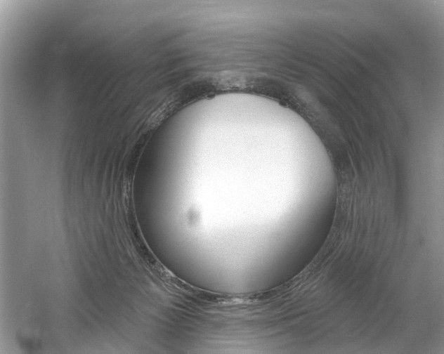 X0000061150125200511181043