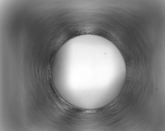 X0000061150126200511181043